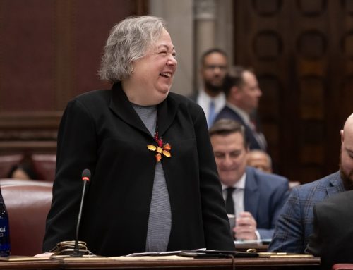 A stroke can’t stop Liz Krueger the ‘anarchist’