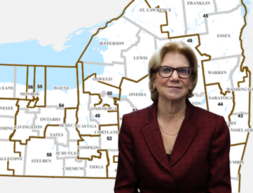 Shelley Mayer takes over political arm of Senate Dems